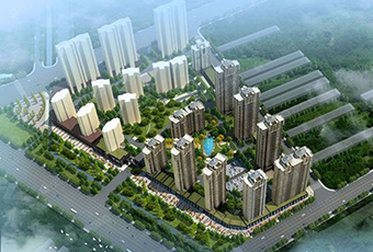 �����P���m�(xi��ng)Ŀ